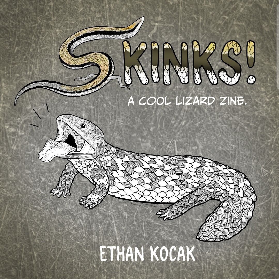 Skink zine! *Digital copy*