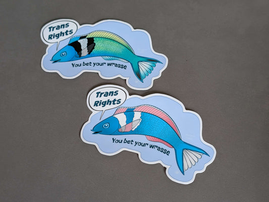 Biological Reality Wrasse stickers